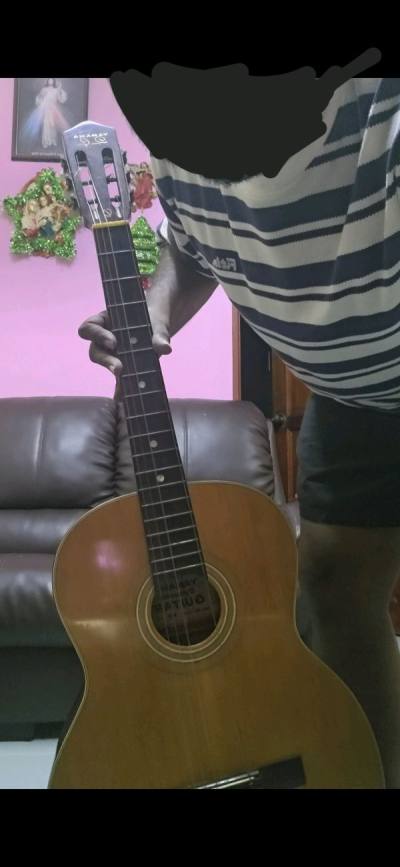 Yamaha dynamic guitar