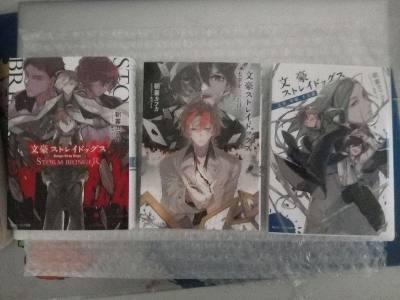 Novelas ligeras bungo stray dogs