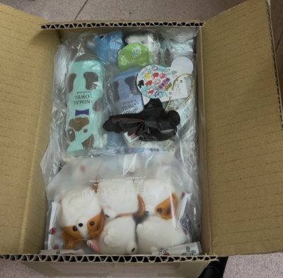 買玩偶體驗感超好 超級划算