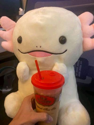 プレゼントにもおすすめ