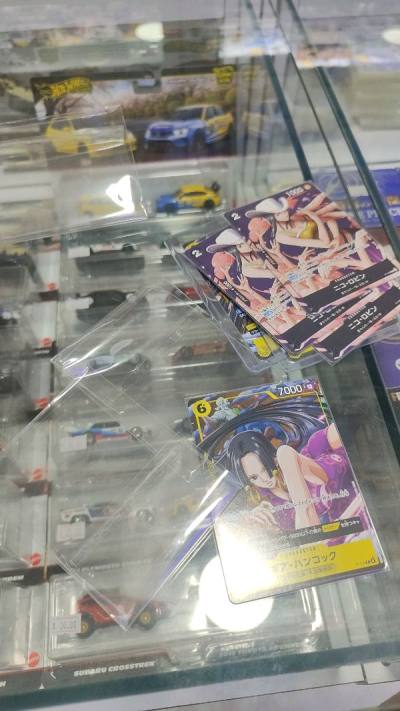 Boa and Robin promo card plus magazine nice safely 