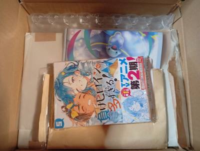 reseña de envio a mexico