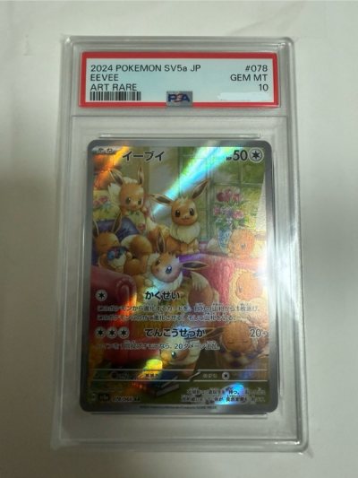 Stumbled upon eevee and decided to purchase it. I love doorzo!