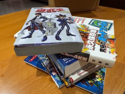 Another Doorzo purchase