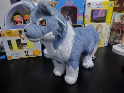 Mira Lailaps, es el COTY