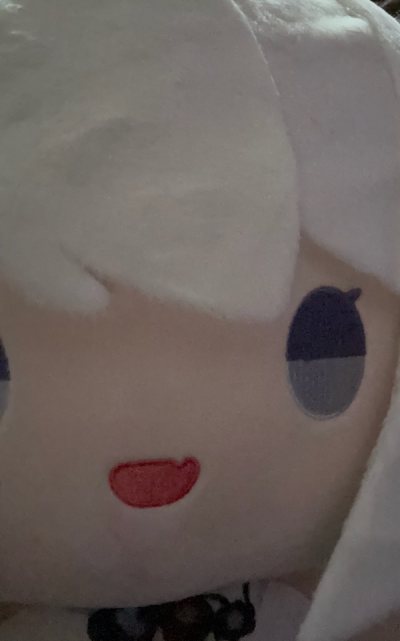 Kiana Kaslana Plushie!!