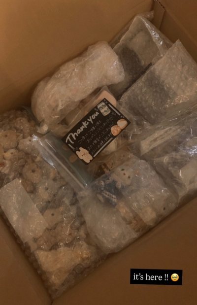 3rd Doorzo Sylvanian Haul ! 