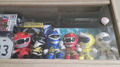 分享在日本拍賣購買珍藏品