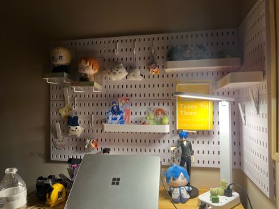 Quick delivery and excellent condition!