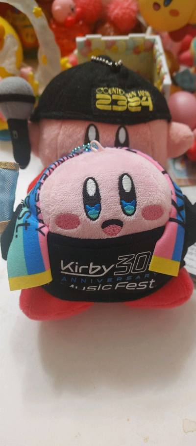 這次買了很多車站卡比和瓦豆魯迪！