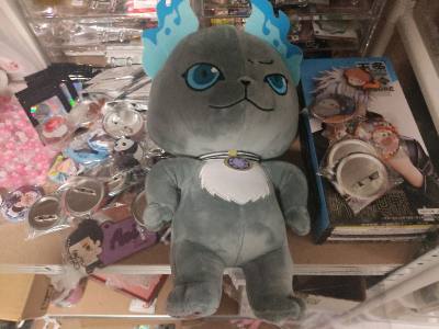 Jujutsu kaisen order haul