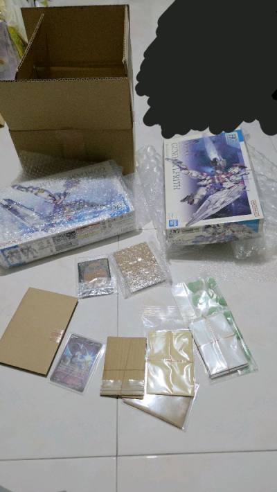 Pokemon Cards and Gundam